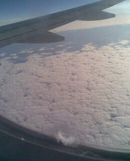 Андрей Щербина