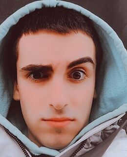 Эмиль — фото 2